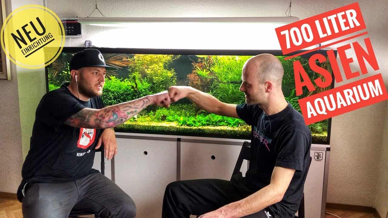 AQUaddicted! – Video Tipp: Umgestaltung eines 200cm Asien-Aquariums – Teil 1