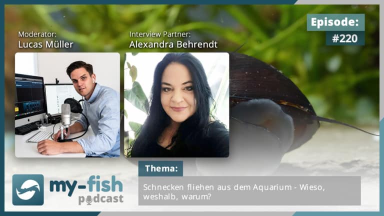 Podcast Episode #220: Schnecken fliehen aus dem Aquarium - Wieso, weshalb, warum? (Alexandra Behrendt)