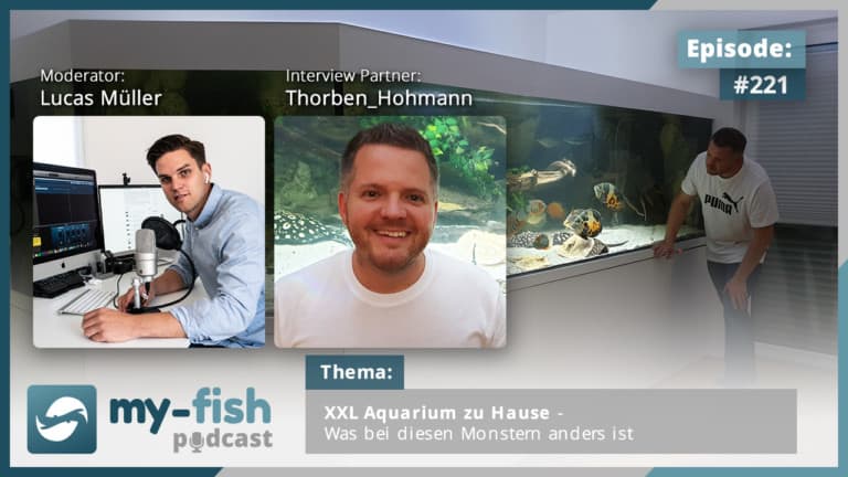 Podcast Episode #221: XXL Aquarium zu Hause - Was bei diesen Monstern anders ist (Thorben Hohmann)