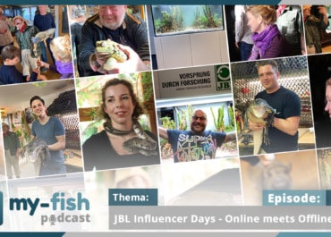 Podcast Episode #223: JBL Influencer Days - Online meets Offline Vol. 4 (Matthias Wiesensee)