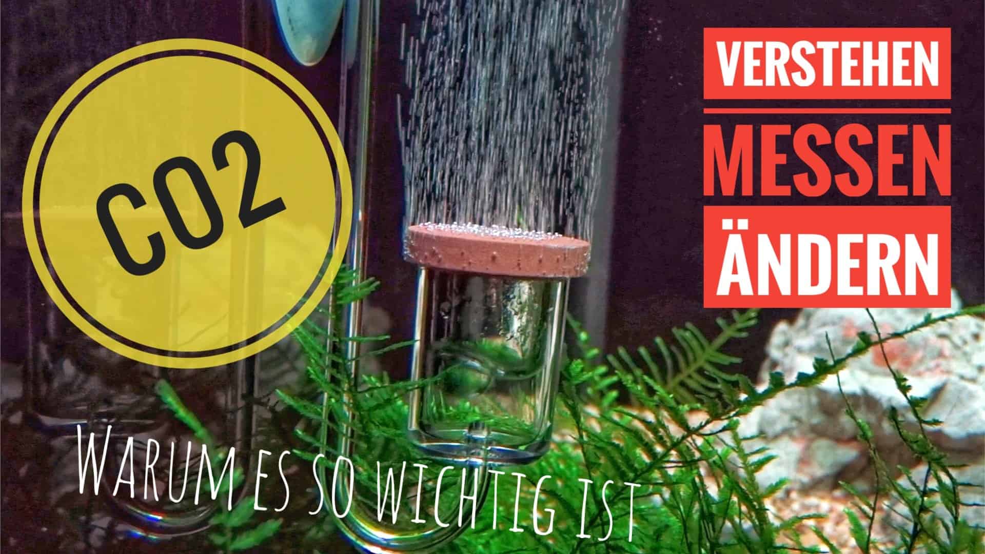 AQUaddicted! – Video Tipp: Warum CO2 im Aquarium so wichtig ist!