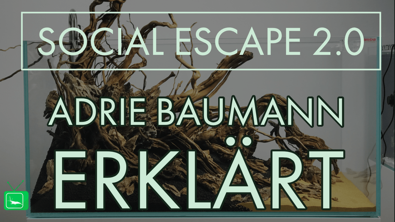 GarnelenTv: Social Escape 2.0