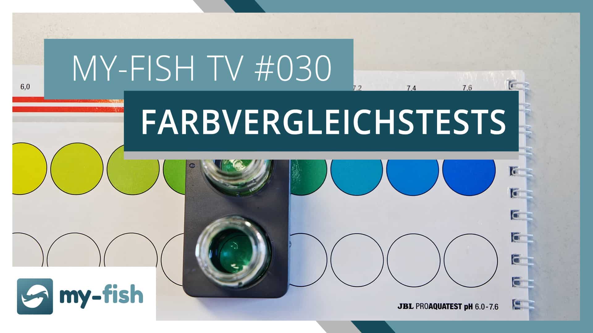 my-fish TV: Farbvergleichstests korrekt benutzen