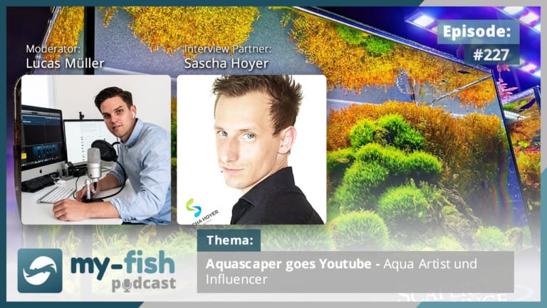 Podcast Episode #227: Aquascaper goes Youtube - Aqua Artist und Influencer (Sascha Hoyer)
