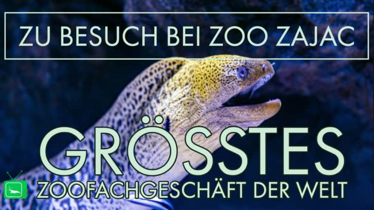 GarnelenTv: Zu Besuch bei Zoo Zajac