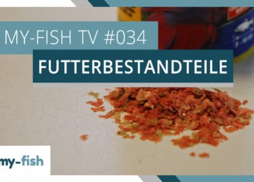 my-fish TV: Zusammensetzung von Fischfutter erklärt