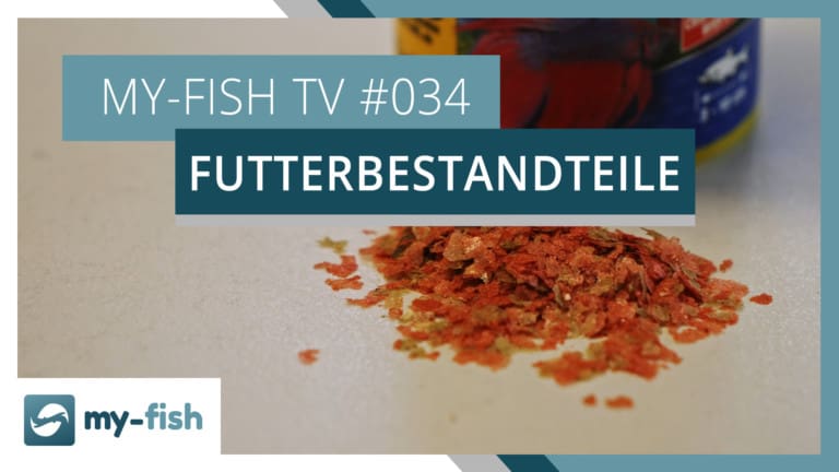 my-fish TV: Zusammensetzung von Fischfutter erklärt
