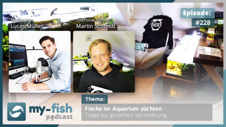 Podcast Episode #228: Fische im Aquarium züchten - Tipps zur gezielten Vermehrung (Martin Schmidt)