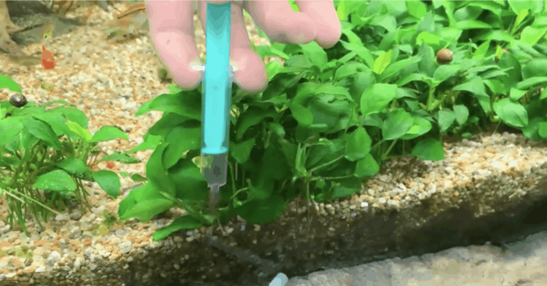 AQUaddicted! – Video Tipp: Algenfreier Bodengrund an der Frontscheibe