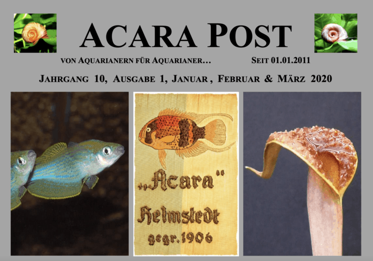 Acara-Post Januar - März 2020 - jetzt kostenlos lesen