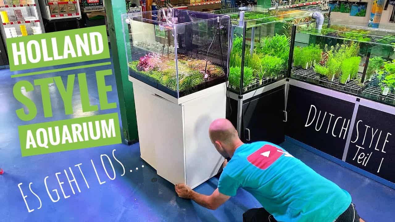 AQUaddicted! – Video Tipp: Wir machen Platz für ein Hollandaquarium – Dutch Style