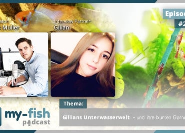 Podcast Episode #232: Gillians Unterwasserwelt und ihre bunten Garnelen (Gilian)