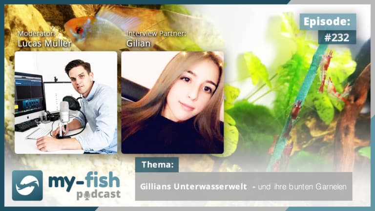 Podcast Episode #232: Gillians Unterwasserwelt und ihre bunten Garnelen (Gilian)
