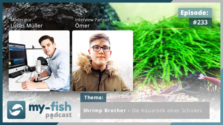 Podcast Episode #233: Shrimp Brother - Die Aquaristik eines Schülers (Ömer)