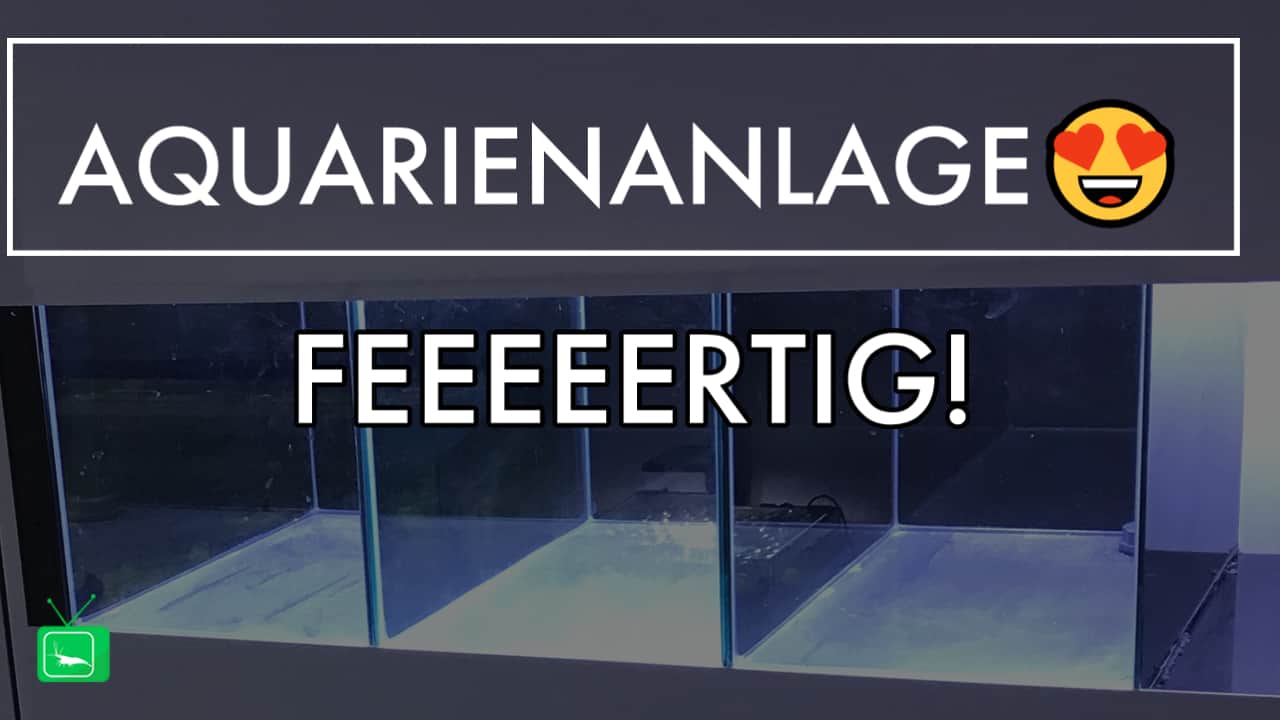 GarnelenTv: Aquarienanlage ist endlich fertig