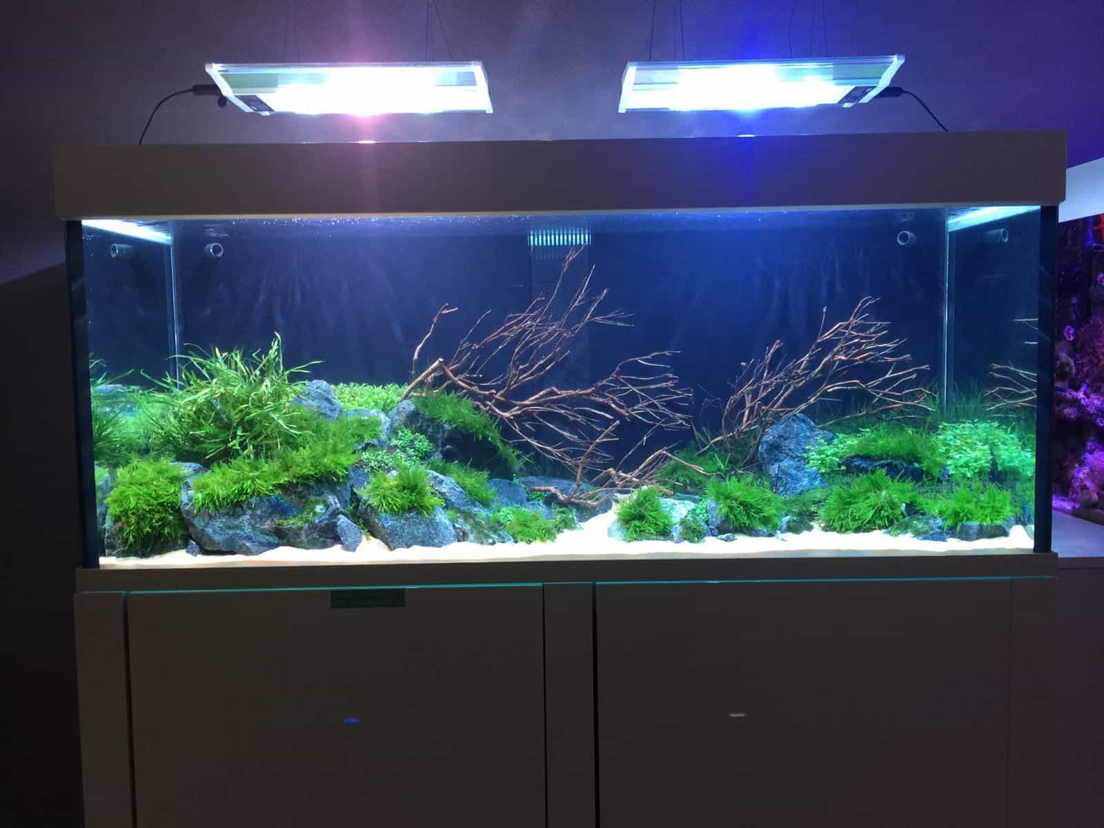 237 Stromverbrauch im Aquarium So senkst du die Stromkosten my
