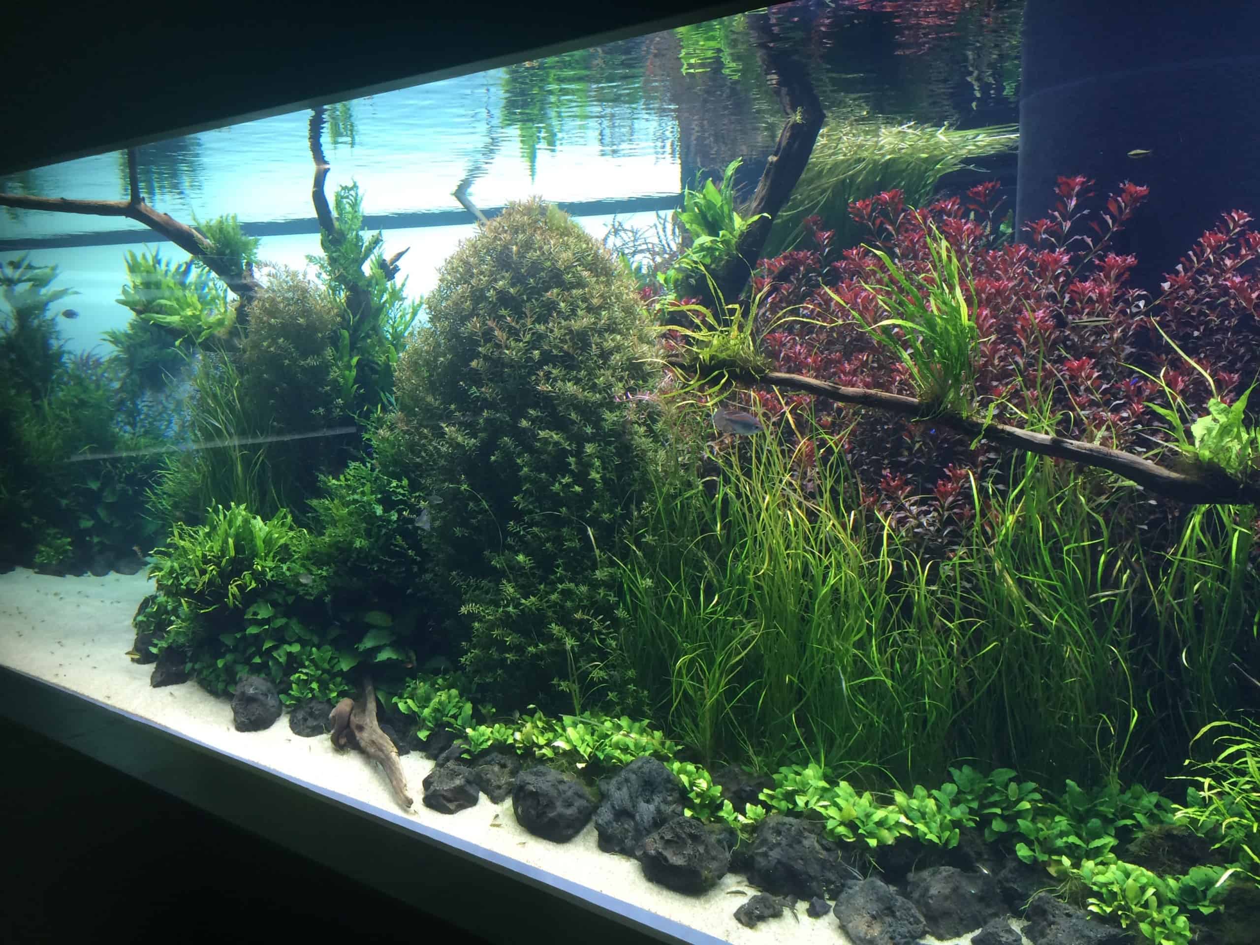 237 Stromverbrauch im Aquarium So senkst du die Stromkosten my