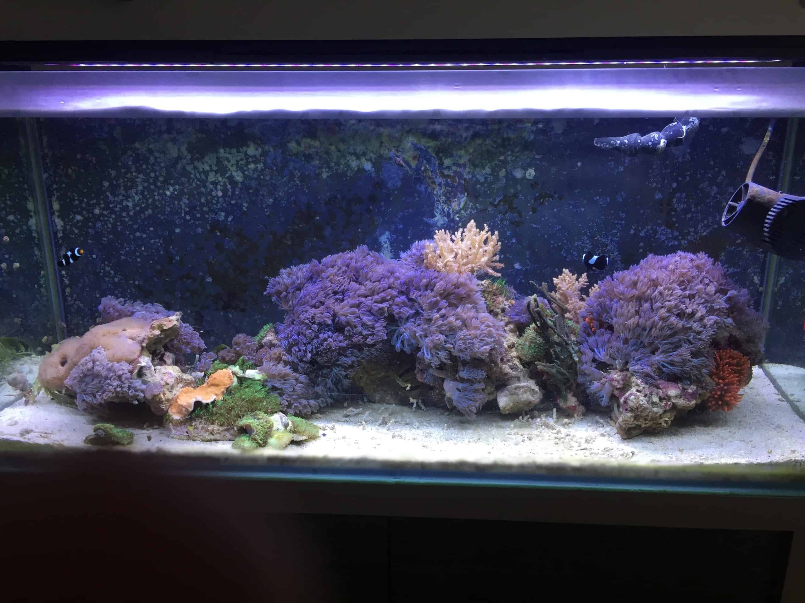 237 Stromverbrauch im Aquarium So senkst du die Stromkosten my