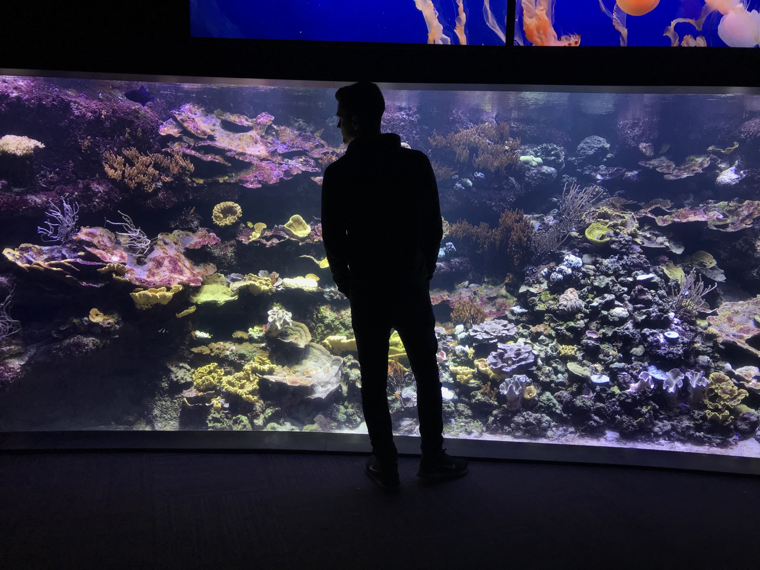 237 Stromverbrauch im Aquarium So senkst du die Stromkosten my