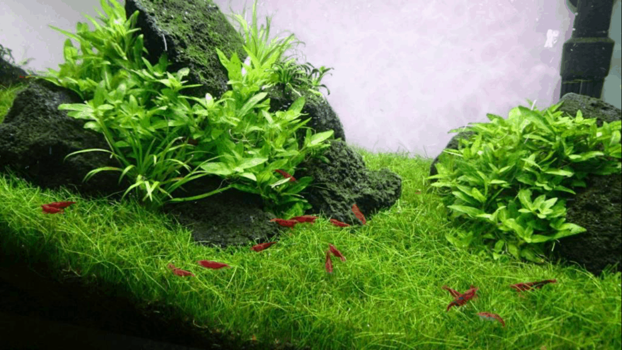 237 Stromverbrauch im Aquarium So senkst du die Stromkosten my