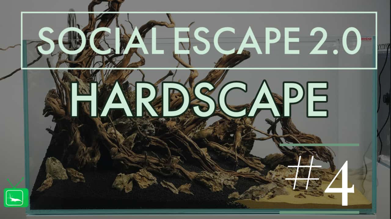 GarnelenTv: Social Escape 2.0 | HARDSCAPE IM AQUASCAPE