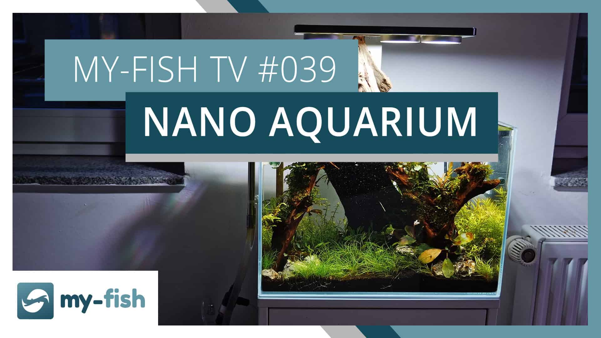 my-fish TV: Das Nanoaquarium