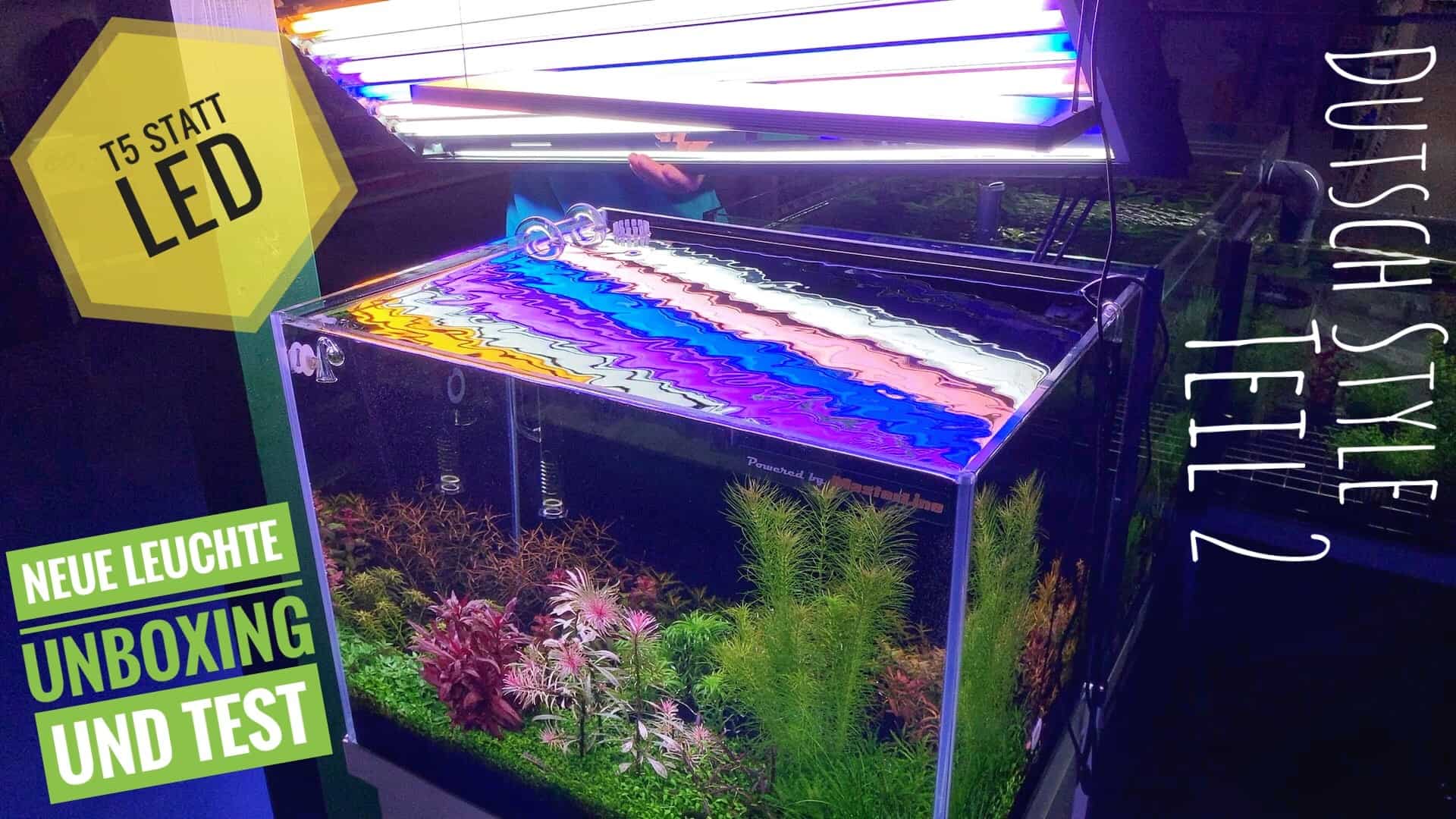 AQUaddicted! – Video Tipp: Beleuchtung für ein holländisches Pflanzenaquarium