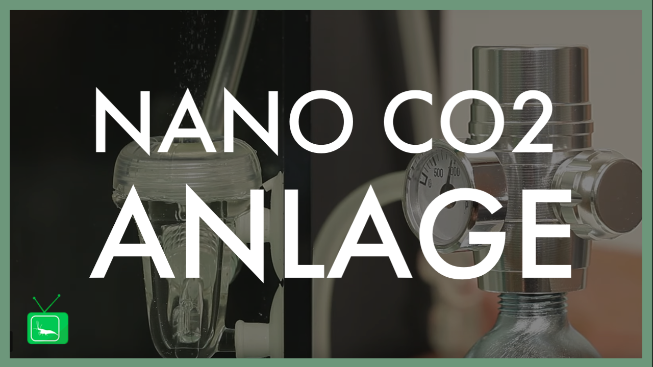 GarnelenTv: Nano CO2-Anlage