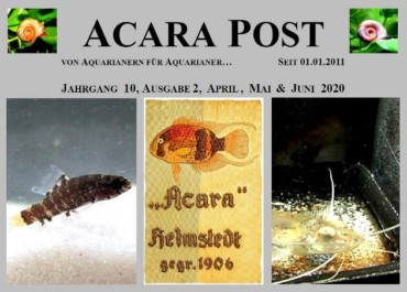 Acara-Post April - Juni 2020 - jetzt kostenlos lesen