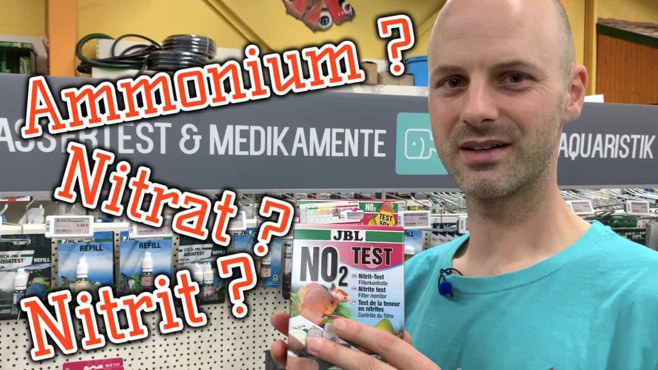 AQUaddicted! – Video Tipp: Der Nährstoffkreislauf – Nitrat, Nitrit, Ammonium