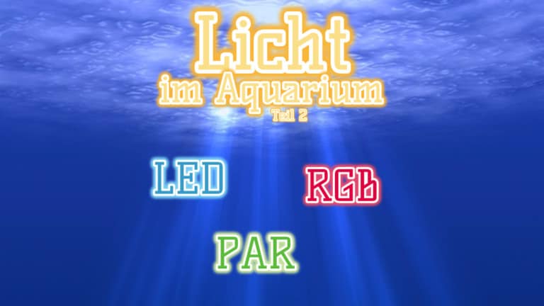 AQUaddicted! - Video Tipp: Beleuchtung für das Aquarium - Teil 2 LEDs