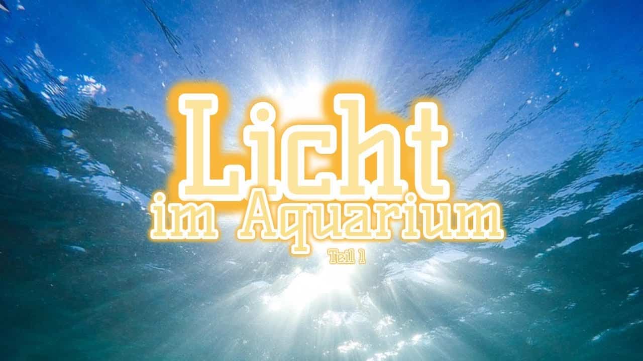 AQUaddicted! – Video Tipp:  Beleuchtung für das Aquarium