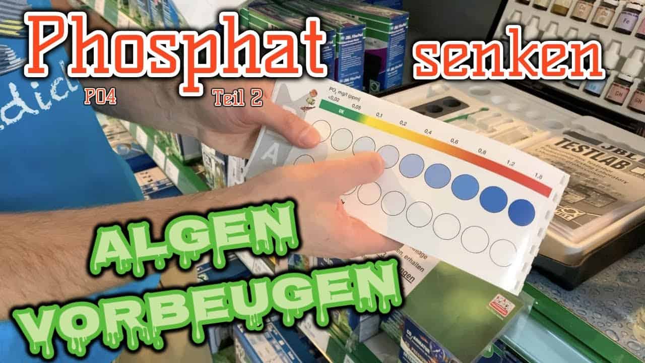 AQUaddicted! – Video Tipp: Phosphat – Nährstoff für Pflanzen aber auch Algenursache?