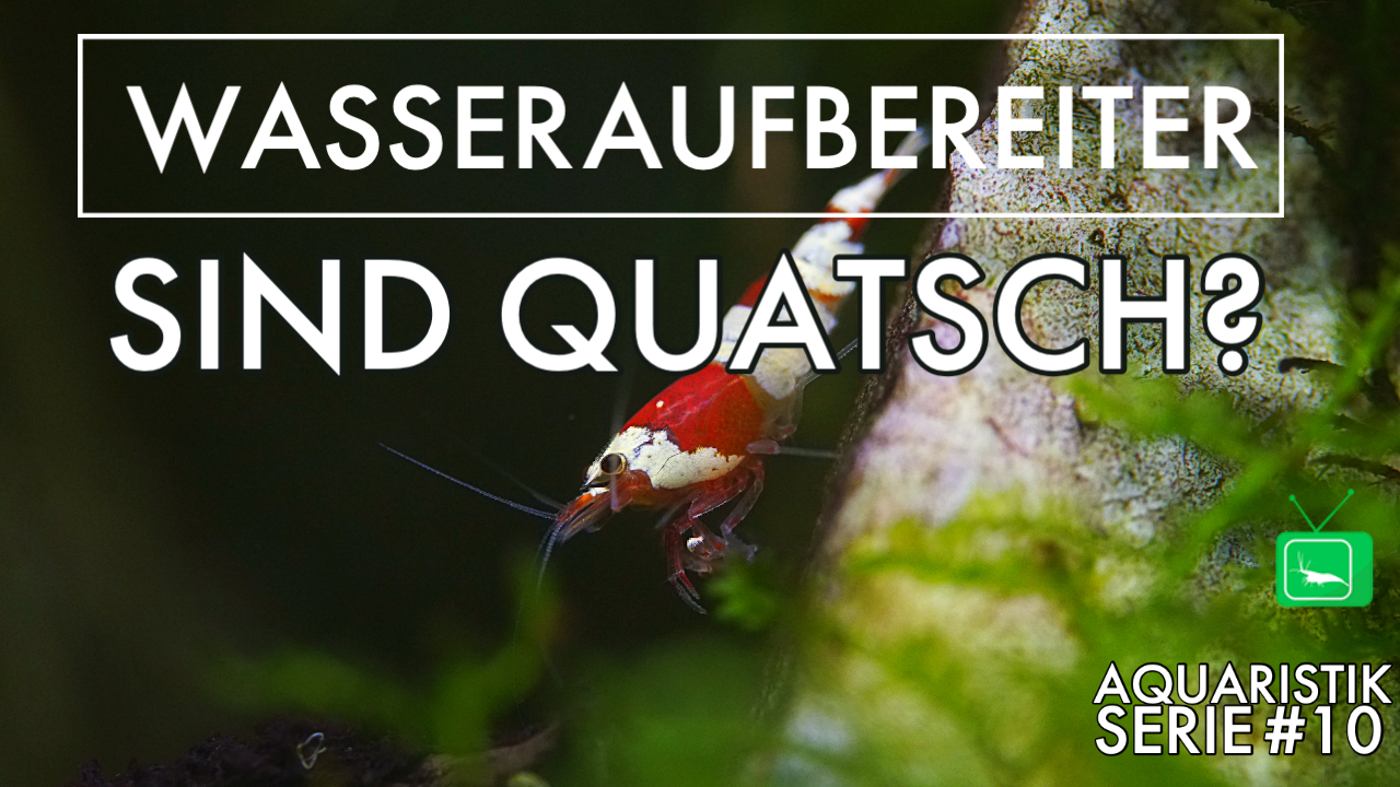 GarnelenTv: Wasseraufbereiter im Aquarium