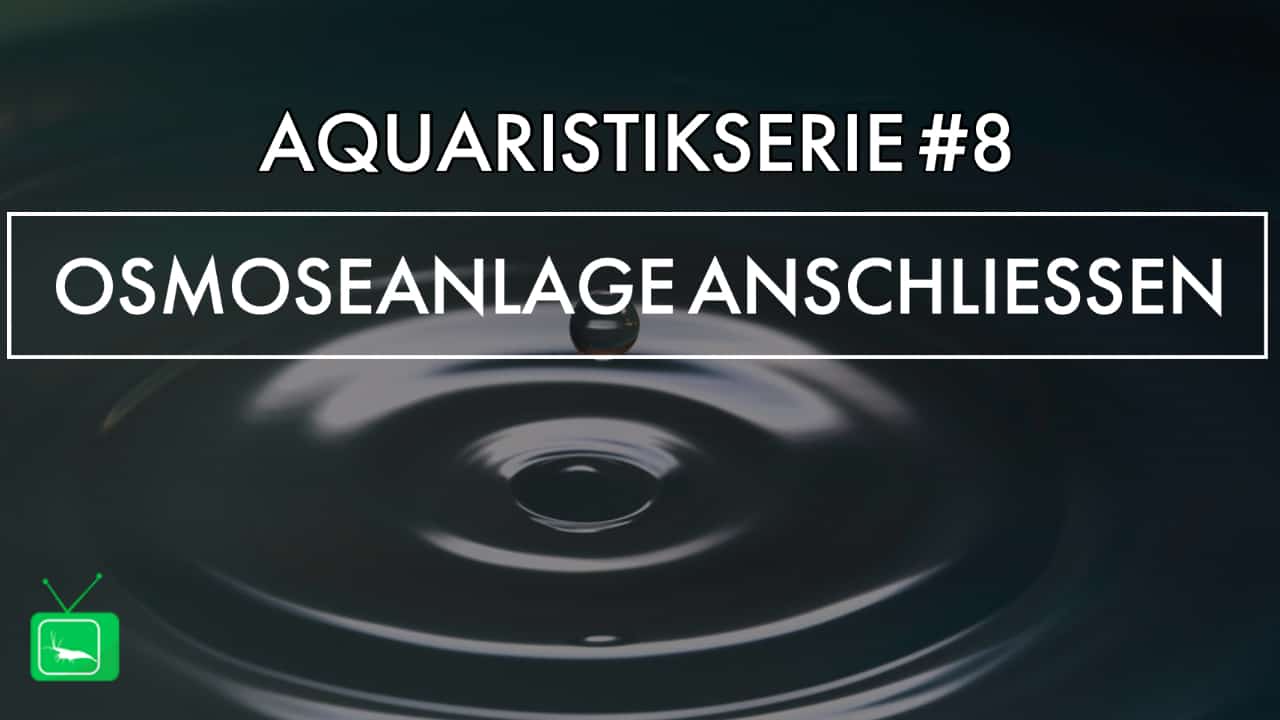 GarnelenTv: Osmoseanlage anschließen