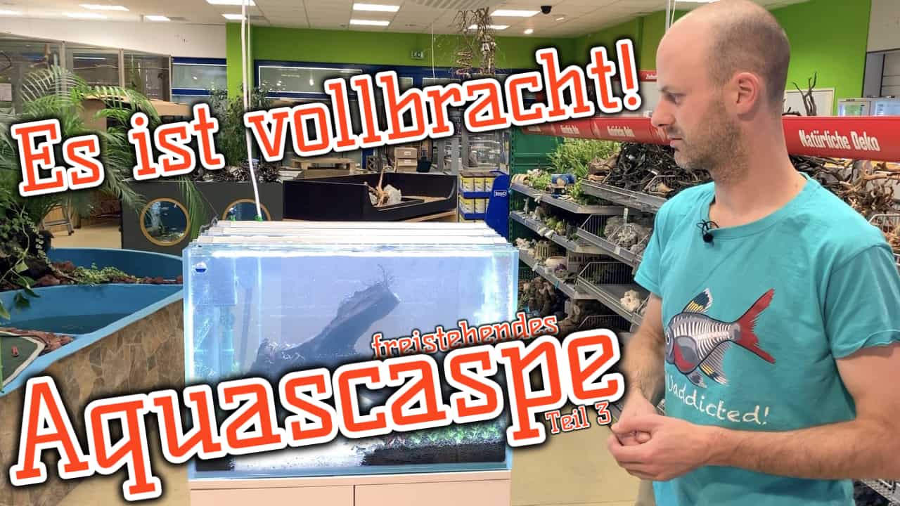 AQUaddicted! – Video Tipp: Einfaches Aquacape einrichten | Teil 3