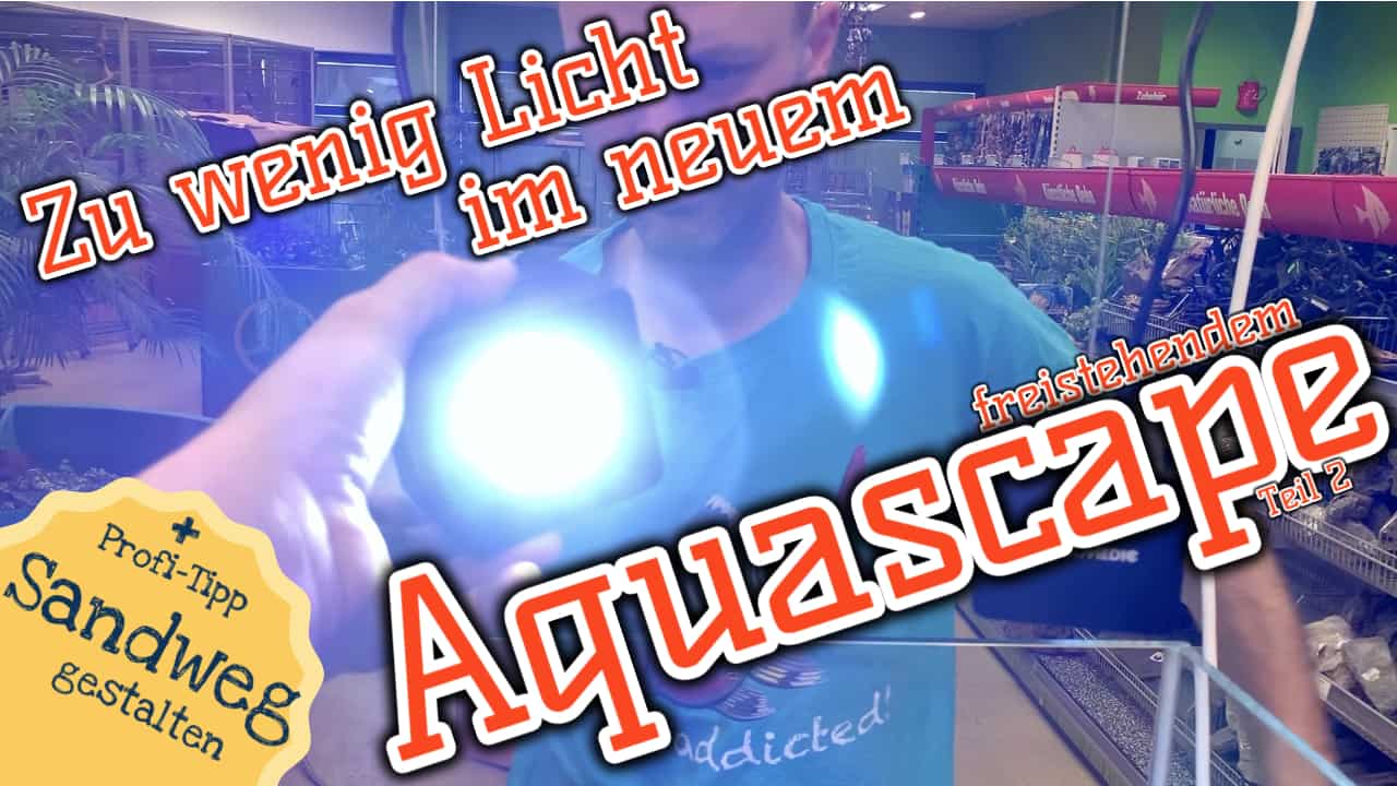 AQUaddicted! – Video Tipp: Licht für das freistehende Aquascape Teil 2