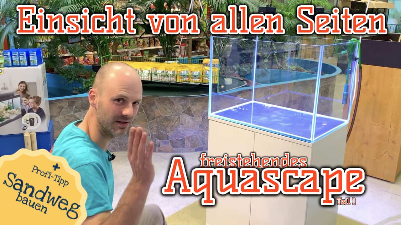 AQUaddicted! – Video Tipp:  Einsicht von allen Seiten | Einfaches Aquascape einrichten | Teil 1