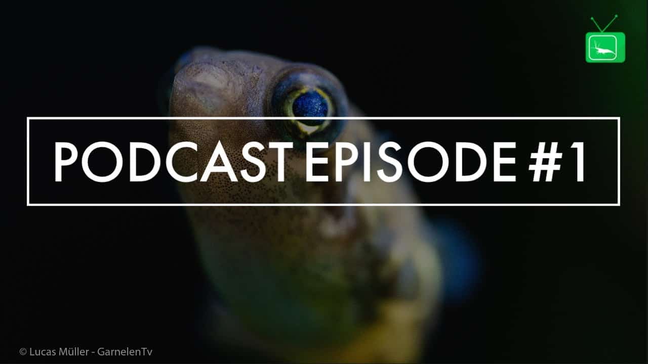 GarnelenTv Podcast Episode #1: Vorstellung