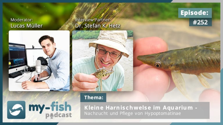 Podcast Episode #252: Kleine Harnischwelse im Aquarium - Nachzucht und Pflege von Hypoptomatinae (Dr. Stefan K. Hetz)
