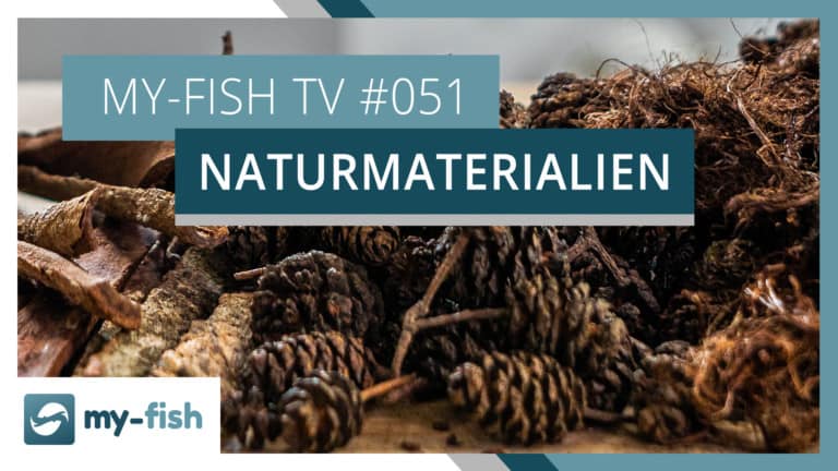 my-fish TV: Naturprodukte im Aquarium einsetzen