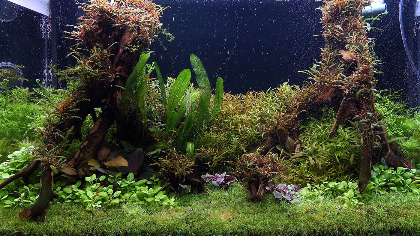 layout109