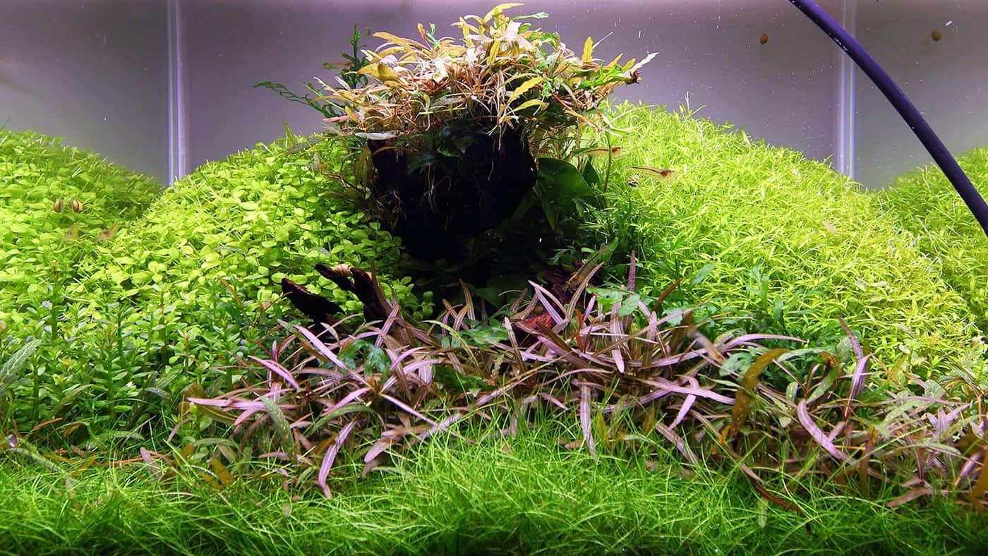 layout112