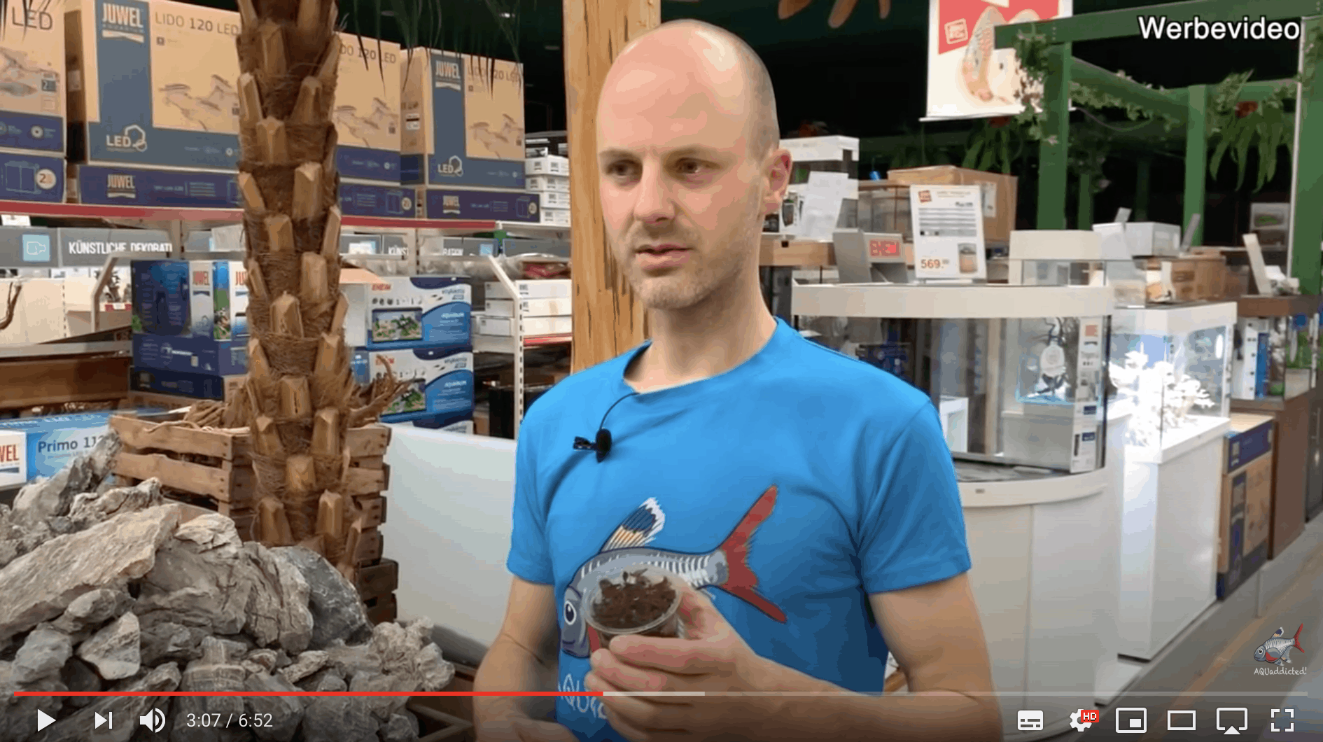 AQUaddicted! – Video Tipp: Mini-Papageienblatt im Portrait