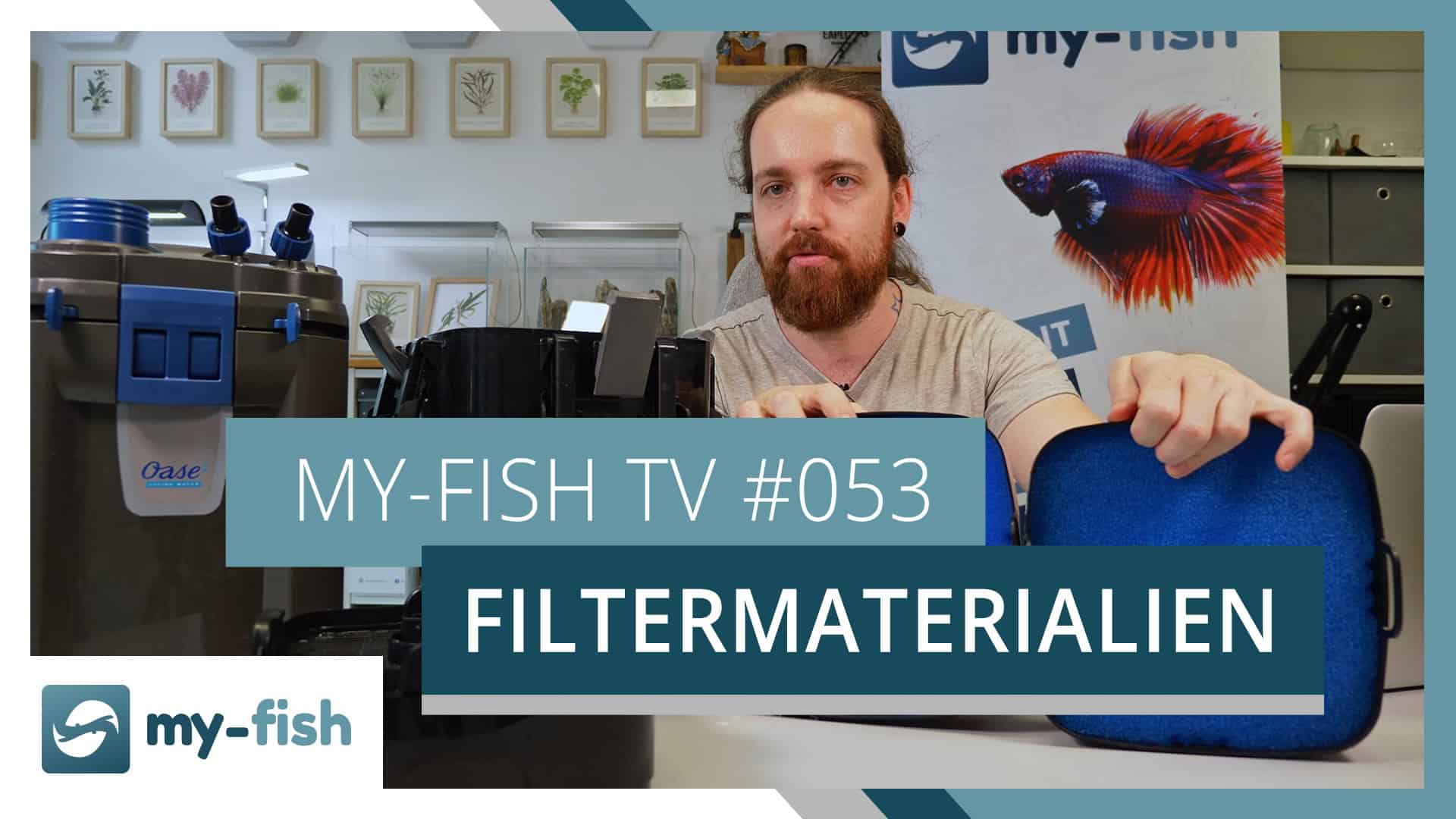 my-fish TV: Filtermaterialien im Aquarium