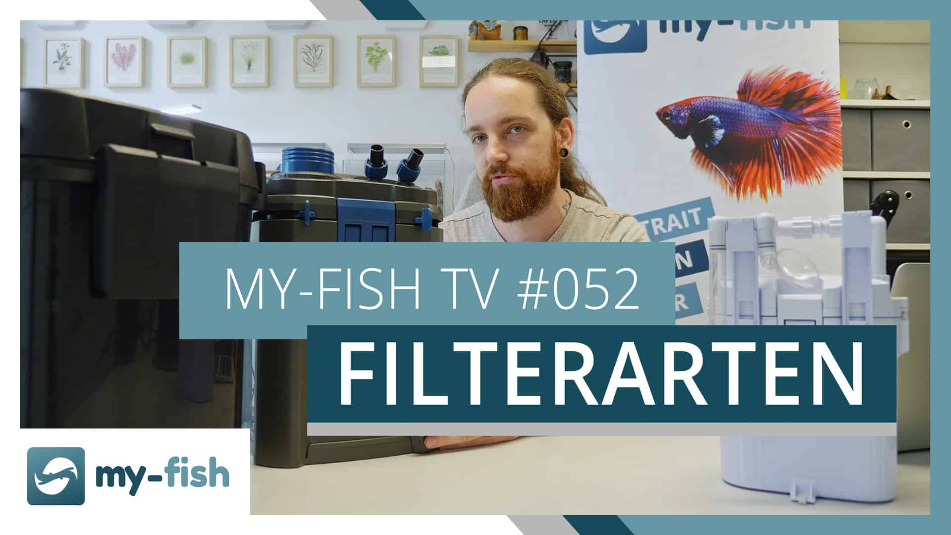 my-fish TV: Filterarten im Aquarium