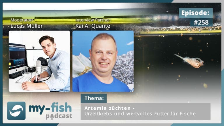 Podcast Episode #258: Artemia züchten – Urzeitkrebs und wertvolles Futter für Fische (Kai A. Quante)
