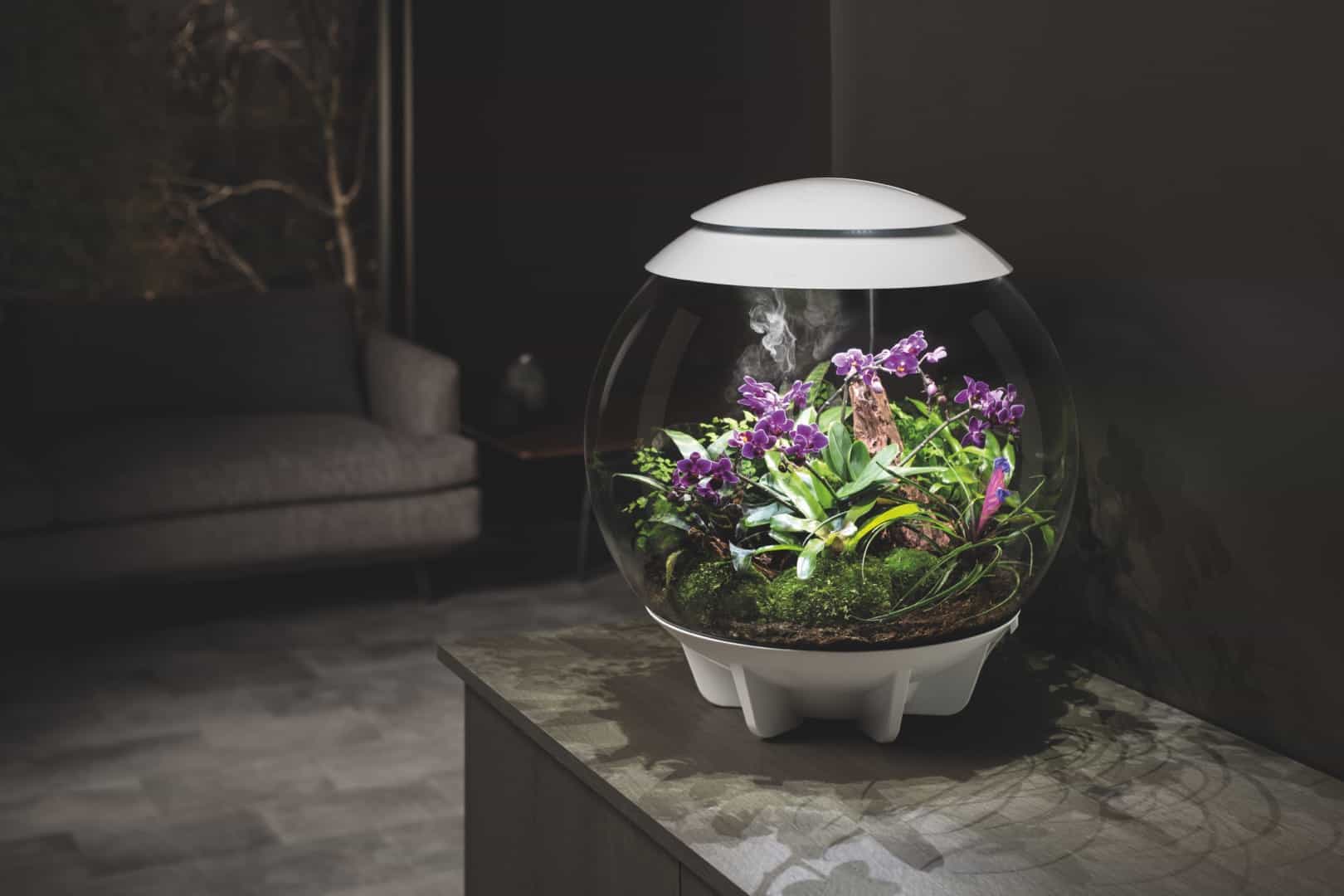 Mikrokosmos und Designobjekt: Ein Stück Natur Zuhause