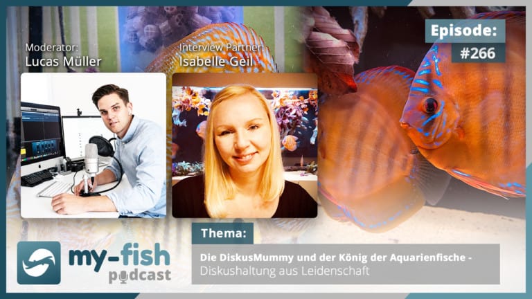 Podcast Episode #266: Die DiskusMummy und der König der Aquarienfische - Diskushaltung aus Leidenschaft (Isabelle Geil)