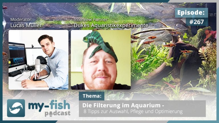 Podcast Episode #267: Die Filterung im Aquarium - 8 Tipps zur Auswahl, Pflege und Optimierung (Dukes Aquaristikexperimente)